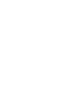Konzulat